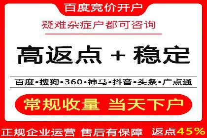 SEM广告投放的竞价策略与效果评估案例